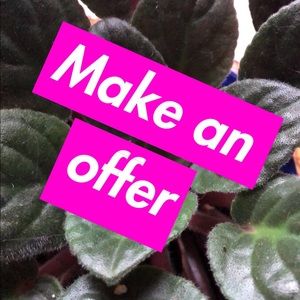 Make an offer on anything in my closet!